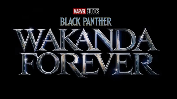 Black Panther: Wakanda Forever download the new version