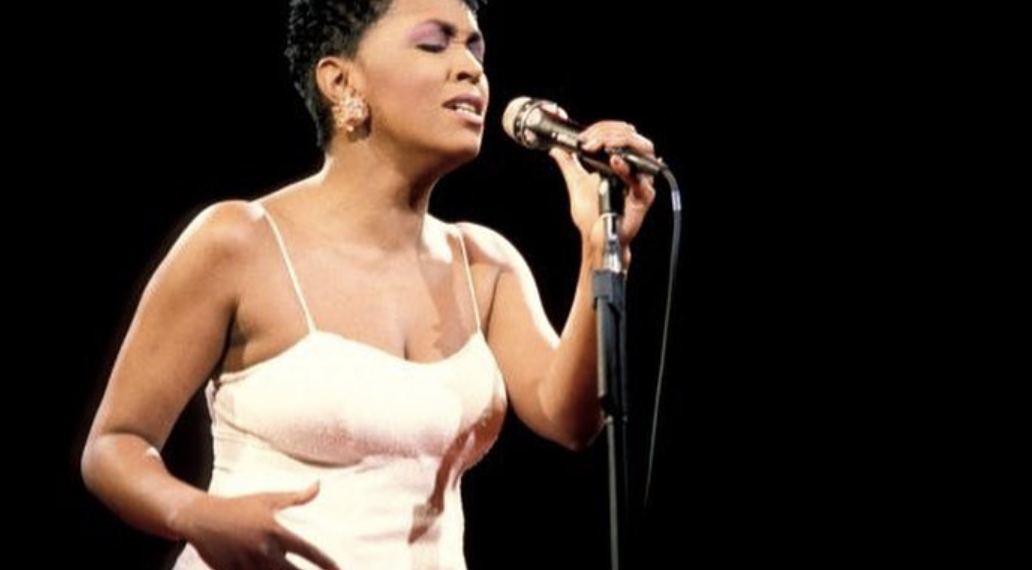 Anita Baker's Detroit Concert Was One For The Books Sis2Sis